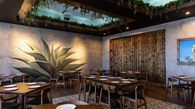 San Antonio's new Cuishe Cocina Mexicana offers 150 bottles of agave spirits — and toasted insects