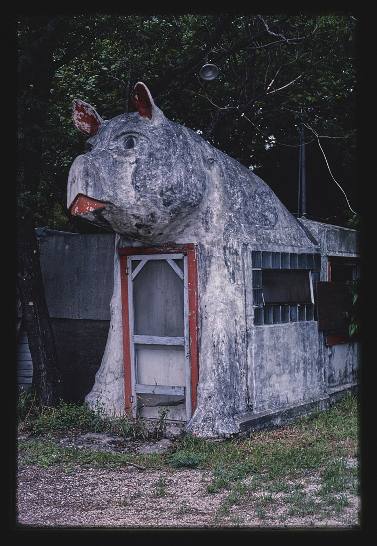 Pig Stand, San Antonio, Texas