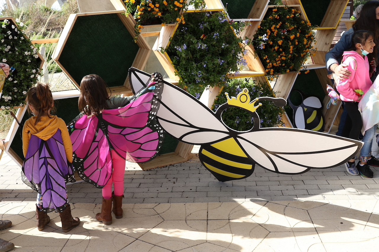 Photos from the Monarch and Pollinator Festival at San Antonio's Legacy and Confluence parks