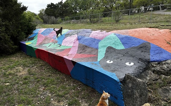 Cats play at atop a mural at the Bear Den Sanctuary in Bulverde.