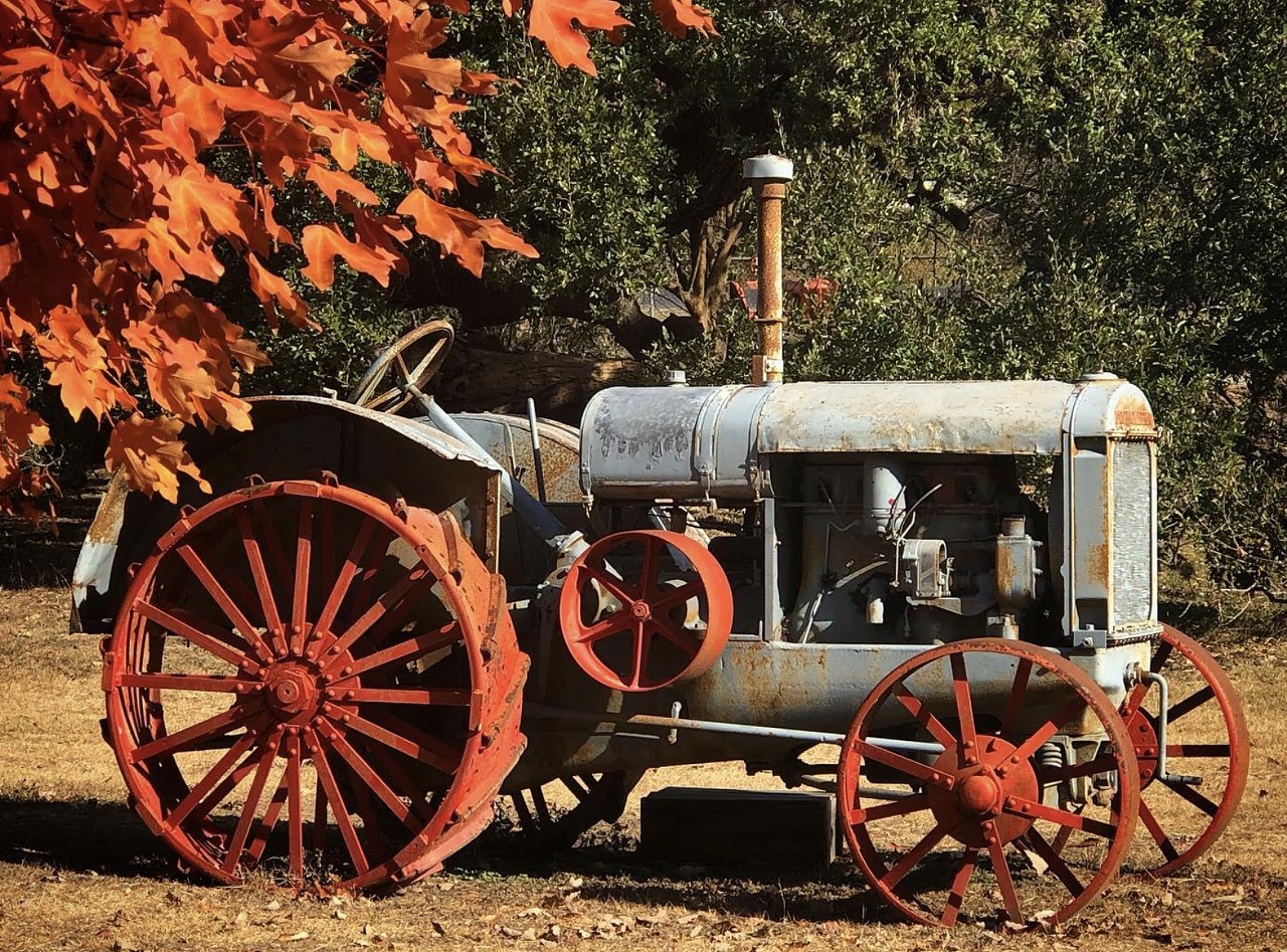 The AgriCultural
102 City Park Road, Boerne, (210) 445-1080, theagricultural.org
Boerne’s First United Methodist Church will operate a pumpkin patch at the AgriCultural museum from 3-6 p.m. Fridays, 10 a.m.-6 p.m. Saturdays and noon-6 p.m. Sundays from Oct. 4-27.