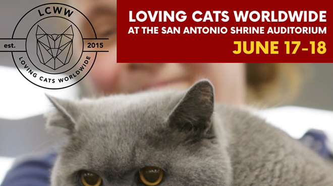 San Antonio Cat Extravanganza & Rescue Awareness Event