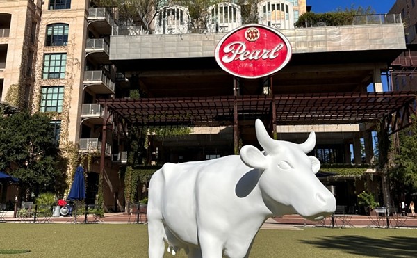 An unpainted cow stands in fake grass at The Pearl.