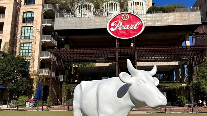 An unpainted cow stands in fake grass at The Pearl.