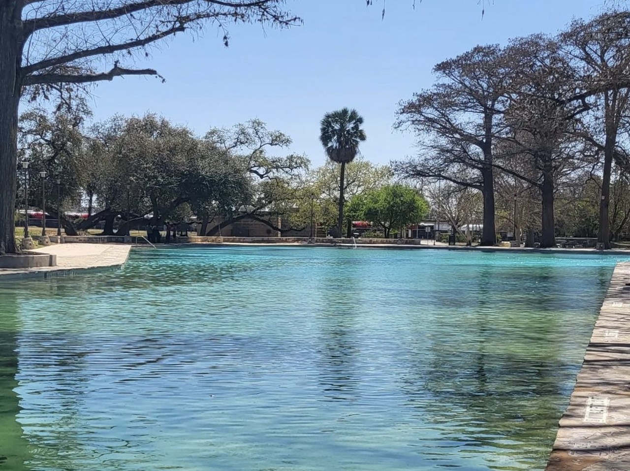 San Pedro Springs Park
2200 N. Flores St., (210) 732-5992, sanantonio.gov 
The blue, clear waters found in San Pedro Springs Park have been used since hunters and gatherers roamed the land nearby and drank from its springs. As the second oldest public space in America, many San Antonians’ ancestors have swam in the park’s pool. There’s no fee for locals looking to jump in this cold-refreshing water hole in the summer, and its beauty can be enjoyed year round.