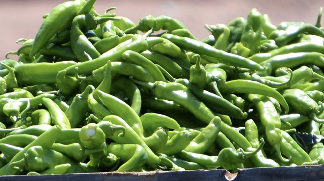 Central Market’s 26th annual Hatch Chile Fest is slated to start this week.