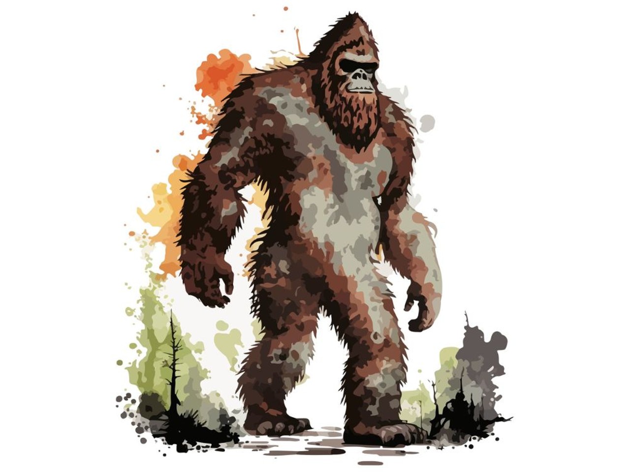 Bigfoot Sightings at Kelly Air Force Base
Some of y’all may think bigfoot only hangs out in the PNW, but the gargantuan apelike cryptid has been spotted all over the U.S., including Texas. In the 1970s, Sasquatch apparently swung down to SA, where he was spotted multiple times near Kelly AFB. According to cryptozoology blog Cryptomundo, the San Antonio Light ran an article in ‘76 covering the sightings. One man claimed to see a 7-foot tall furry monster run out of his backyard after being scared by a train whistle, and later a neighbor claimed she saw a smaller, similarly-furred creature that ran on two feet. Was Bigfoot taking a South Texas vacation with the kids? We may never know.