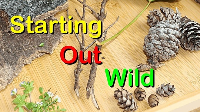 Starting Out Wild — Nature Program for Toddlers