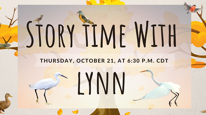 Story Time with Lynn - A Great Egret Rescue