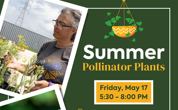 Summer at the Briscoe: Pollinator Plants