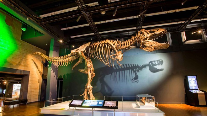 With the help of rear projection, the cast skeleton of T.rex "Scotty" has a shadow that appears to roar.