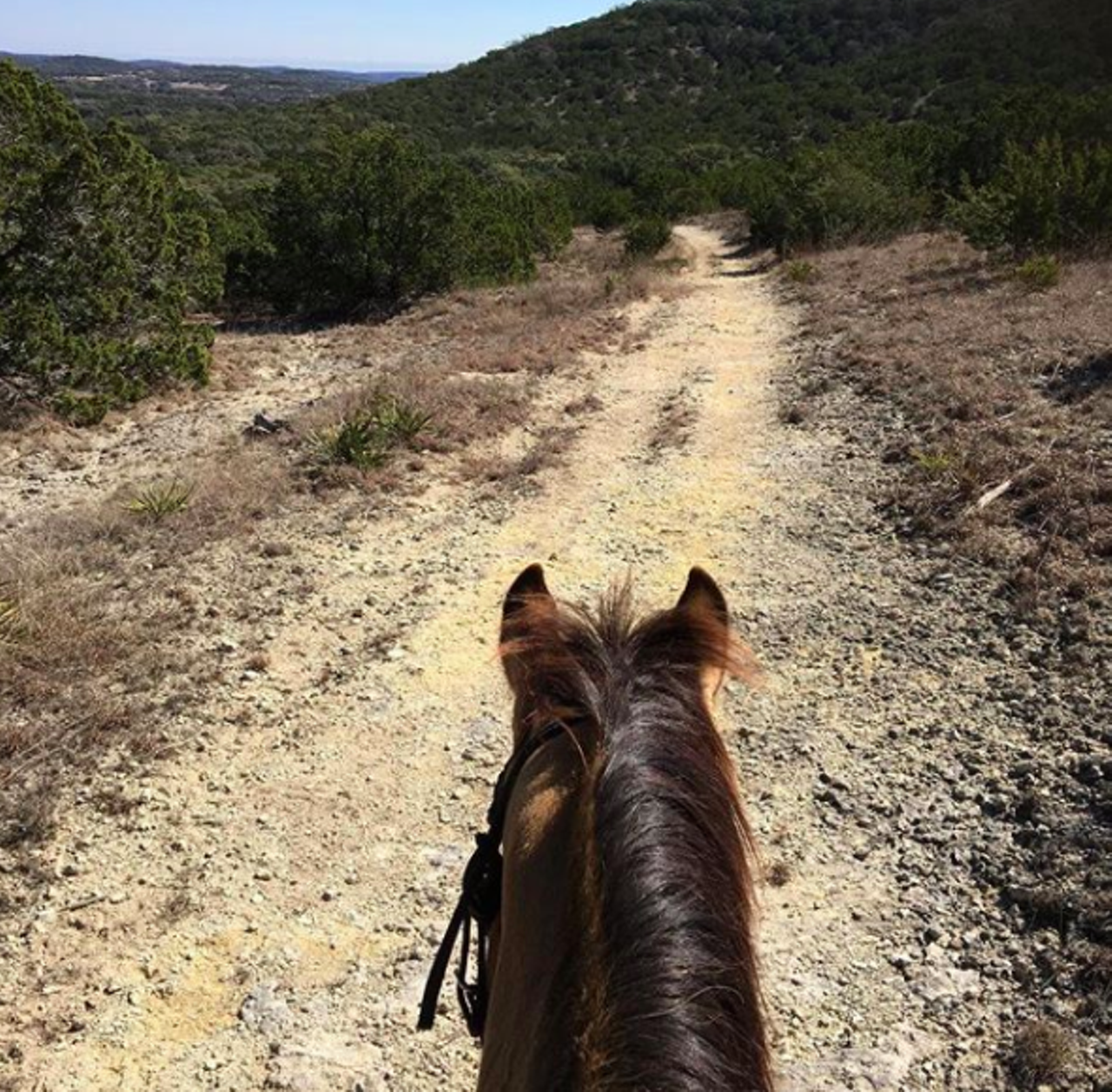 Hill Country State Natural Area
10600 Bandera Creek Rd, Bandera, (830) 796-4413, tpwd.texas.gov
Plan accordingly so you can take advantage of 40+ miles of multiuse trails. You can hike, bike and even ride a horse along these designated paths.
Photo via Instagram / banderahistorical