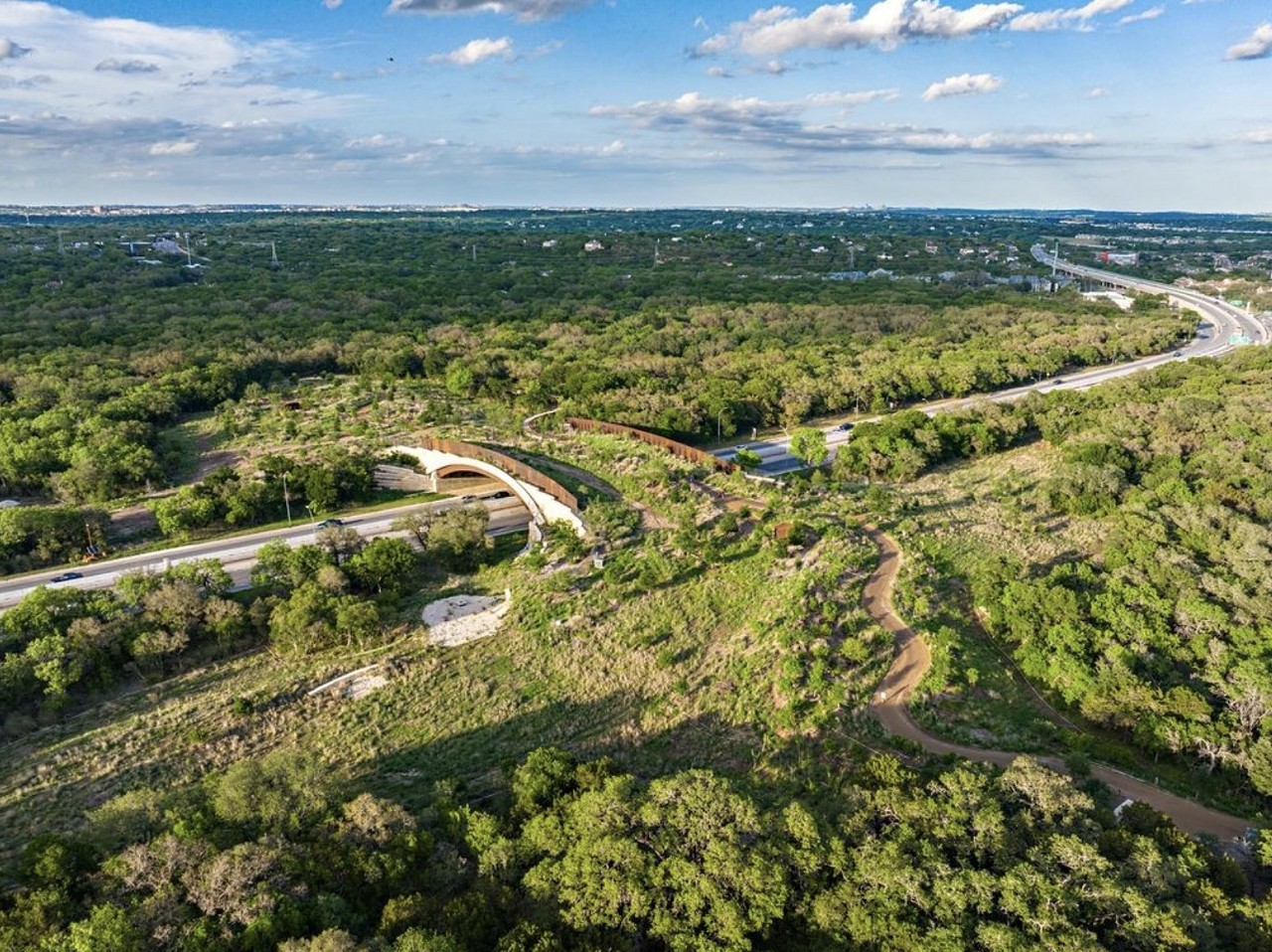 Phil Hardberger Park Land Bridge  
8400 N.W. Military Highway or 13203 Blanco Road, (210) 207-7275, sanantonio.gov 
The 150-foot long land bridge connecting Phil Hardberger Park from east to west opened December 2020 and is the first in the world designed for safe passage for both people and wildlife. Deer, raccoons, coyotes and humans can stroll across what is deemed the largest wildlife crossing in the U.S. to date. The land bridge can be reached via the park’s Northwest Military or Blanco Road entrances.
