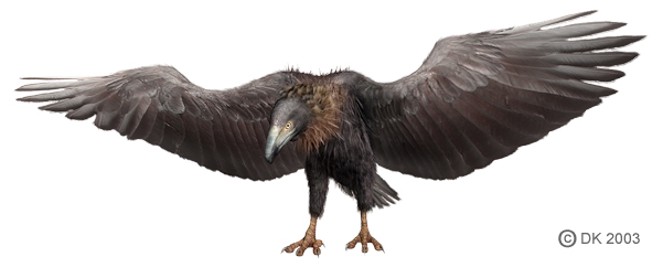The Texas-sized 'monster' bird that created a huge flap back in 1975