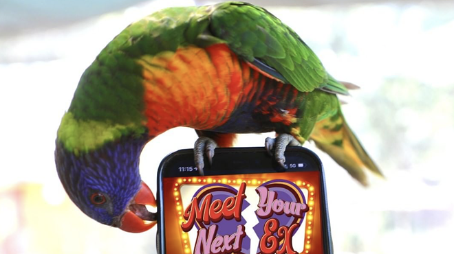 The San Antonio Zoo is bringing back its Meet Your Next Ex singles event.