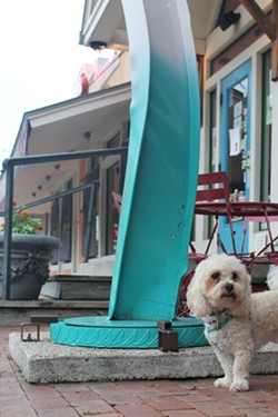 Top 10 Restaurants to Dine with Your Dog in San Antonio