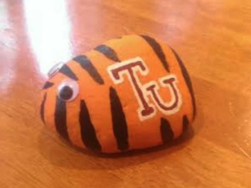 Trinity University Sends Pet Rock to College Applicant