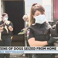 ACS Rescues More Than 20 Dogs From Self-Proclaimed Dog Rescuer's Home in Northeast San Antonio