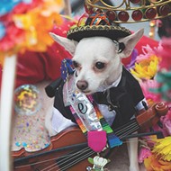 Festival Fare, Live Music and Artsy Vendors Collide at the Funky Fiesta Favorite King William Fair
