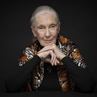 Iconic Environmental Activist Jane Goodall to Speak at the Tobin Center in 2020