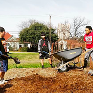 Thinking of Growing Your Own Food in the Coronavirus Crisis? San Antonio Urban Farmers Offer Tips