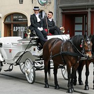 Get a Real Job, San Antonio: Be a Horse-Drawn Carriage Driver
