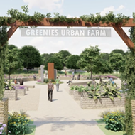 Greenies Urban Farm to donate 1,000 pounds of healthy superfoods to San Antonio families