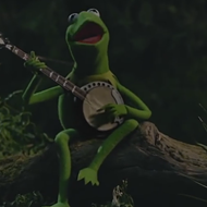 Kermit the Frog Chronicles Miss Piggy's Infidelities in a Cover of Beyoncé's "Hold Up"