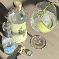 The growing array of non-alcoholic products can turn Dry January  into a spirited celebration
