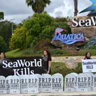 New Halloween Attraction at SeaWorld: An Orca Graveyard