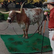 The Mendoza Line: UT mascot Bevo stages fecal protest against 'The Eyes of Texas'