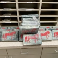 Around 110 pounds of cocaine wash ashore on the South Texas coast