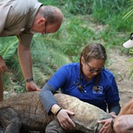San Antonio Zoo's Dr. Rob L. Coke named finalist for 'Hero Veterinarian' award