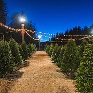 Buy your Christmas tree early, because the industry is dealing with supply issues going back to 2008
