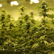 Dutch company spending $272 million to buy Texas firm that makes lights for marijuana growers