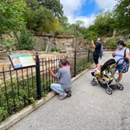 San Antonio Zoo honors Betty White with free admission for seniors, admission discounts