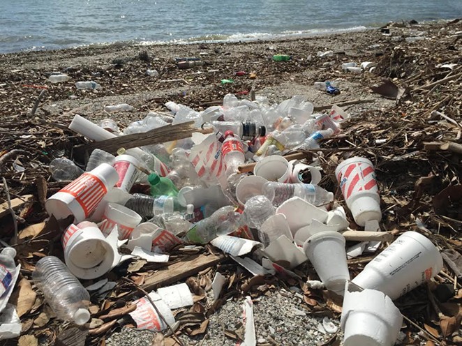 Non-biodegradable polystyrene cups lie strewn across the Corpus Christi Bay beach. (Notice those orange Whataburger cups?) - NEIL MCQUEEN