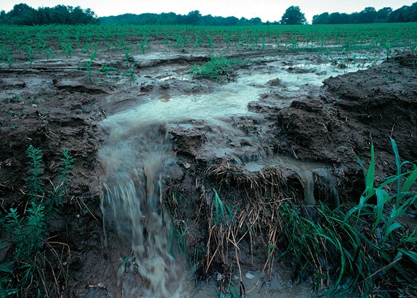 Runoff from a farm field transports pollutants during a rainstorm. - LYNN BETTS (U.S. DEPARTMENT OF AGRICULTURE)/WIKIMEDIA COMMONS