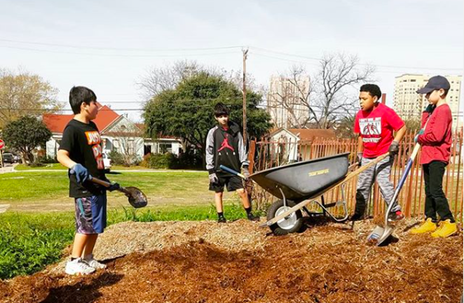 Thinking of Growing Your Own Food in the Coronavirus Crisis? San Antonio Urban Farmers Offer Tips