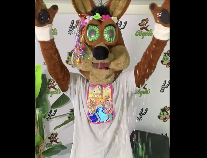Spurs Coyote announced the online event in his Fiesta finest - TWITTER / SPURSGIVE