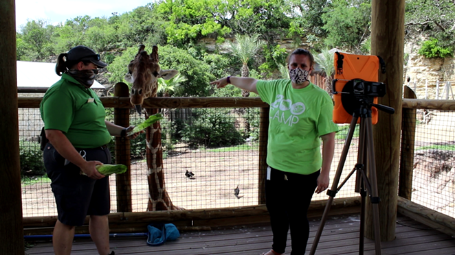 San Antonio Zoo Launches Two New Virtual Summer Camps (2)