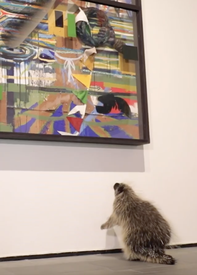 A porcupine closely inspects a painting. - INSTAGRAM / MCNAYART