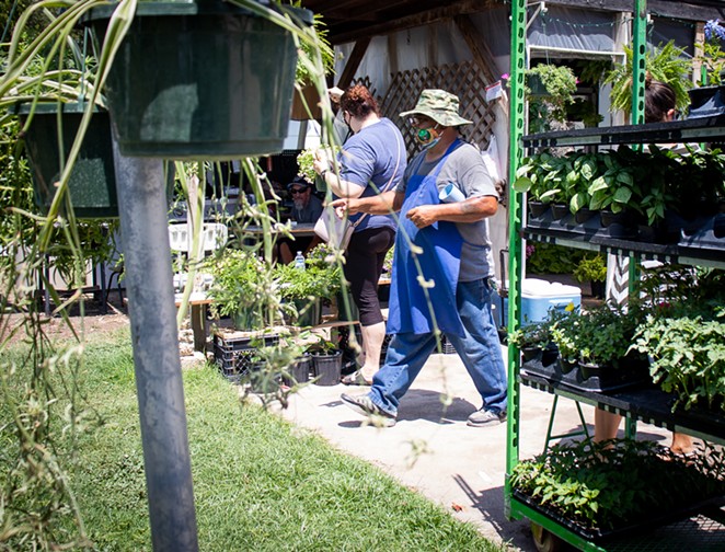 San Antonio Shows the Love to South Side Plant Seller After Viral Post on Social Media (2)
