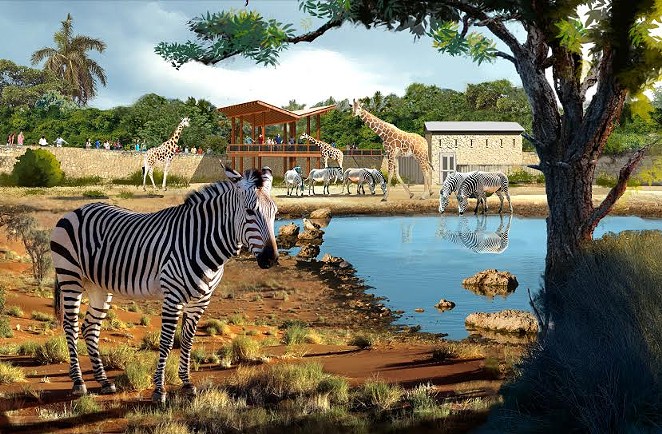Giraffes Are Returning To San Antonio Zoo With New Enclosure
