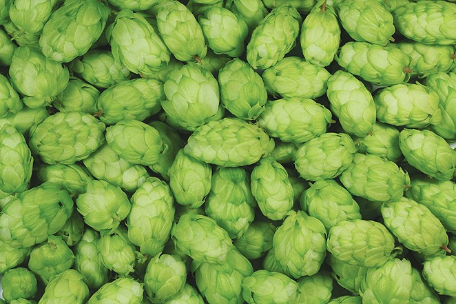 There's no such thing as Texas hops.