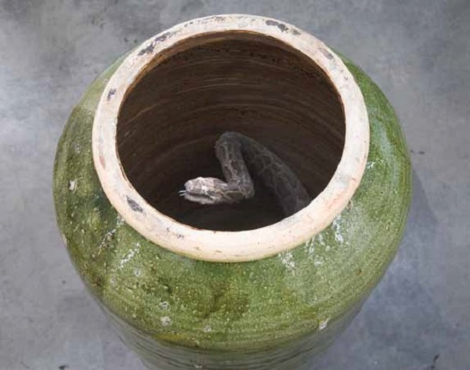 Huang Yongping’s "Well" - COURTESY