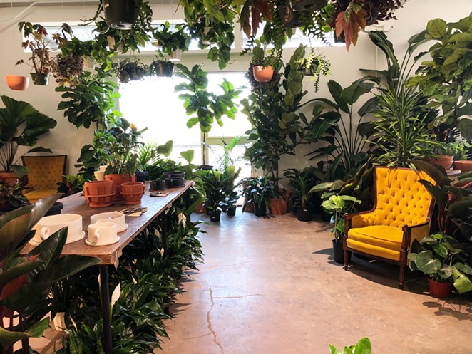 The lush interior of the Tillage Plants shop at 125 Lamar. - KARA JOHNSON