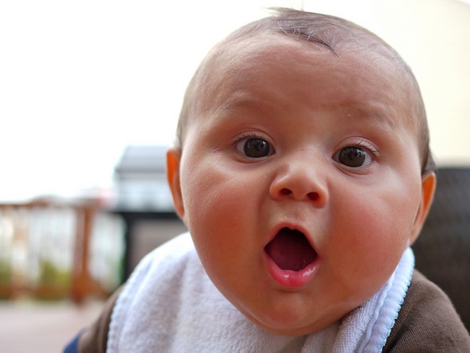 Get paid to bring a baby like this little dude into the world. - FLICKR CREATIVE COMMONS/CHRISTOPHER LANCE