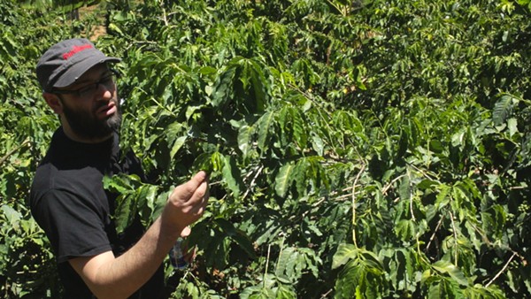 Brown Coffee Co. owner Aaron Blanco searching out the perfect coffee beans in the upcoming documentary Coffee Hunting: Kenya. - COURTESY