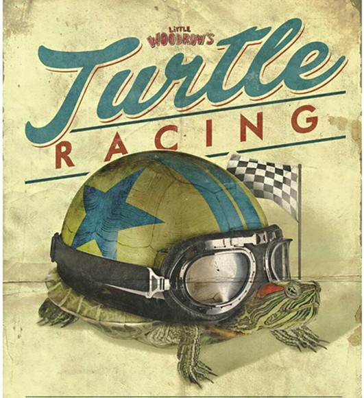 476b9ca4_little_woodrow_s_turtle_racing.jpg